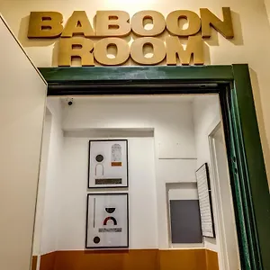 Baboon , Roma Italia